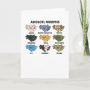 Search for newt cards Amphibian