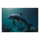 Search for blue dolphins posters Marine mammals