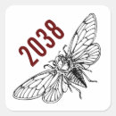Search for cicada stickers Entomology