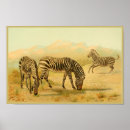 Search for african plains posters Animal