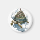 Search for tortoise magnets Whimsical