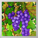 Search for grapevine art Purple