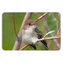 Search for willow gifts Birds