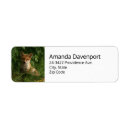 Search for baby fox return address labels Wildlife