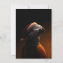 Search for macaw christmas cards Cockatoo