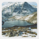 Search for scott stickers Scott t smith