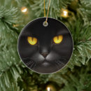 Search for persian christmas tree decorations Funny