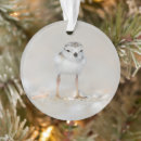 Search for chick christmas tree decorations Bird