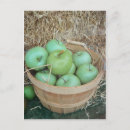 Search for apple green postcards Apples