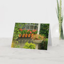 Search for geraniums cards Garden