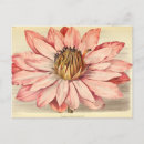 Search for french floral postcards Decoupage