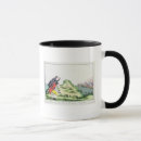 Search for pitt mugs School