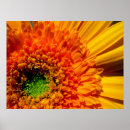 Search for beautiful easter posters Floral
