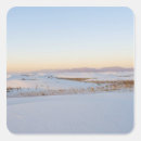 Search for gypsum stickers Barchan