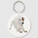 Search for jack russell key rings Puppy
