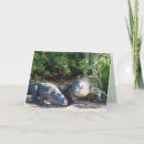 Search for florida gators cards Wildlife