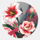 Search for amaryllis stickers Bold
