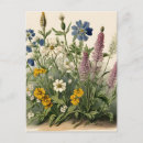 Search for vintage wildflowers postcards Nature