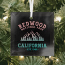 Search for redwoods trees christmas tree decorations National park