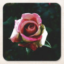 Search for rose drawing coasters Floral