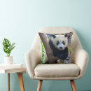 Search for giant panda cushions China
