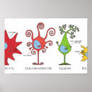 Search for cartoon brain posters Cells