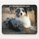 Search for aussie shepherd mousepads Australian