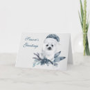 Search for baby seal cards Watercolor