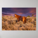 Search for bureau posters Superstock