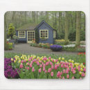 Search for hyacinth mousepads Flower