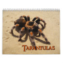 Search for arachnids calendars Tarantula