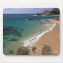 Search for baja electronics Ocean