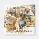 Search for small monkey magnets Monkeys