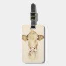 Search for cow luggage tags Portrait