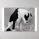 Search for funny dog art Orange