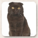 Search for sitting coasters Animal