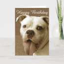 Search for american bulldog Animals