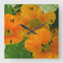 Search for nasturtium Garden