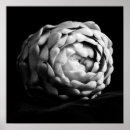 Search for artichoke art Vegetables