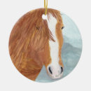 Search for pony christmas tree decorations Wild