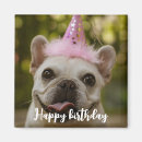 Search for cute square magnets Happy birthday