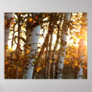 Search for sunlight art Autumn