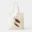 Search for birdwatching bags Raptor