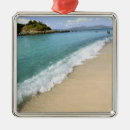Search for trunk christmas tree decorations Virgin islands national park