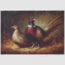 Search for pheasant Bird