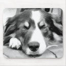 Search for black border mousepads Pet