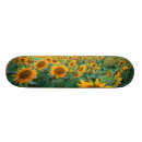 Search for fields skateboards Nature