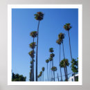 Search for tall posters Palm trees