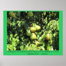 Search for aristotle quote posters Quotes