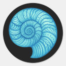Search for ammonites Prehistoric